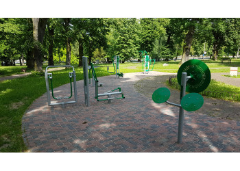Tai Chi wheels | Starmax