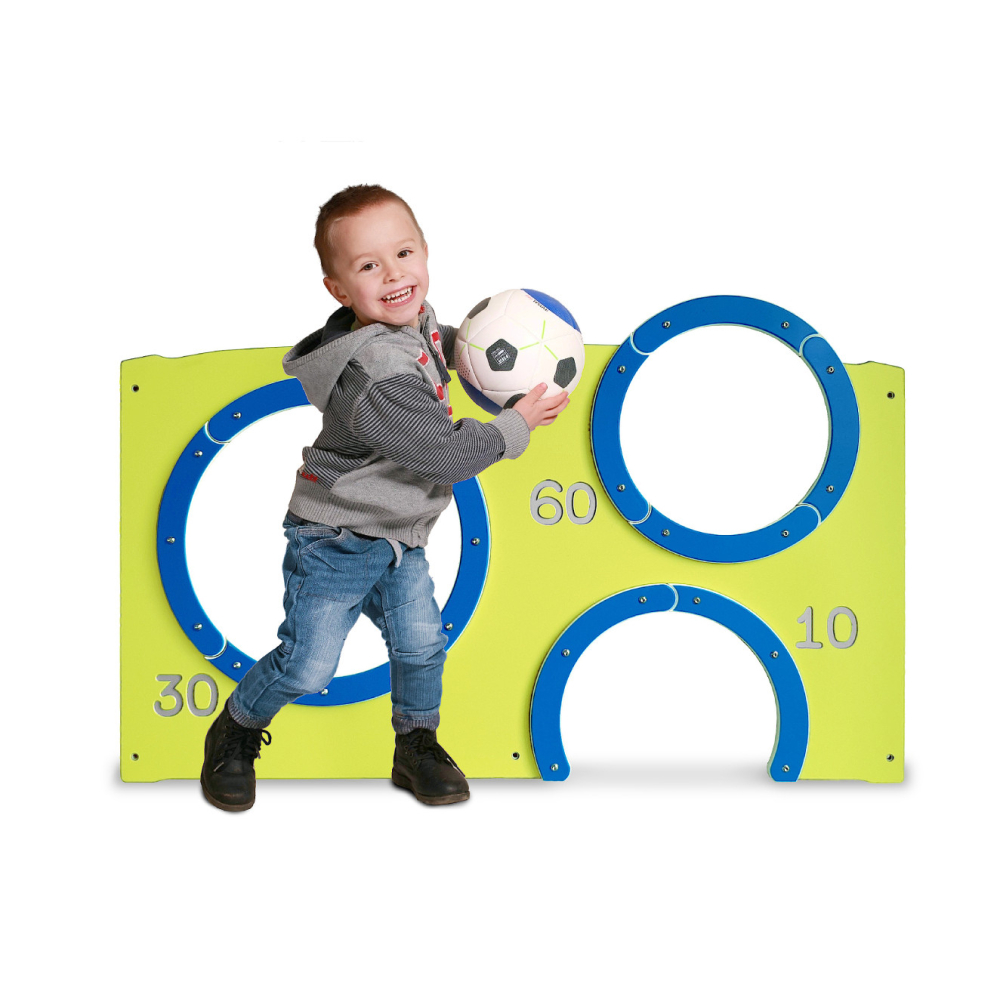 P3805 Ball Throw panel ♿
