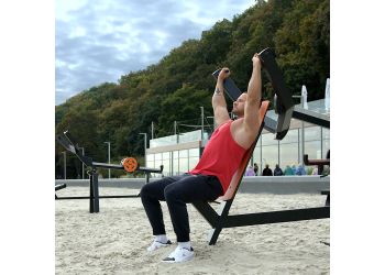 Overhead Shoulder Press Outdoor Gym with load
