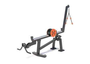Standing Biceps Curl / Triceps Extension