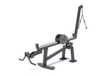 Standing Biceps Curl / Triceps Extension